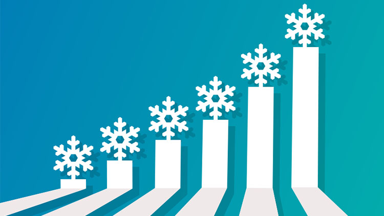 Peak Insurance Activity Trends for January