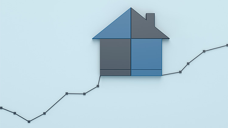 Insurance Shopping Trends: Home Edition